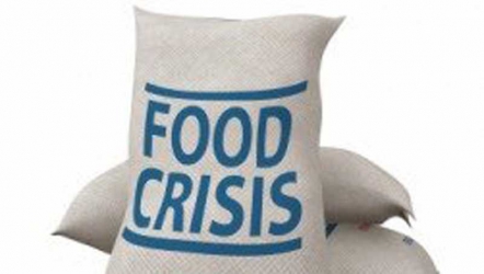 Surveillance and quick response only way to minimise food crisis