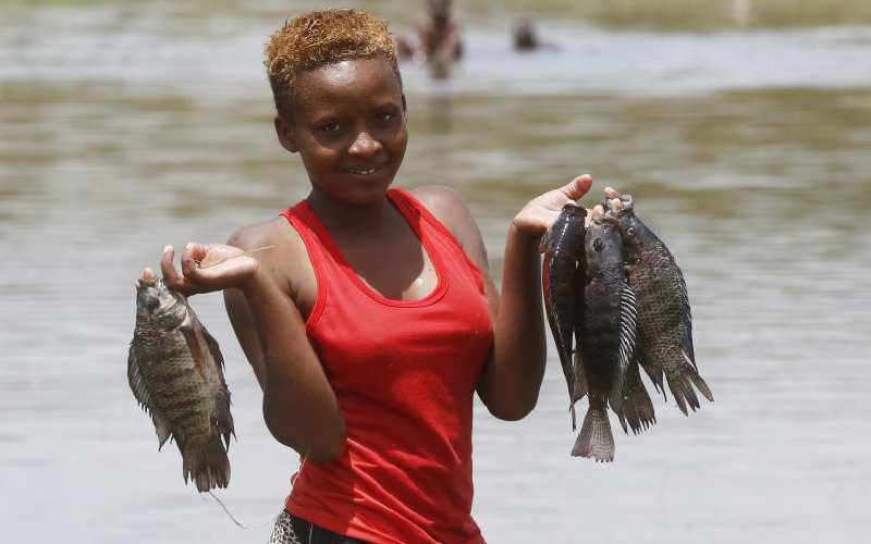 Researchers warn of toxic metals in Lake Nakuru fish as business flourishes  - FarmKenya Initiative