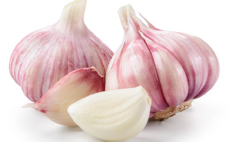 Thinking of garlic? Go for it, there is a market