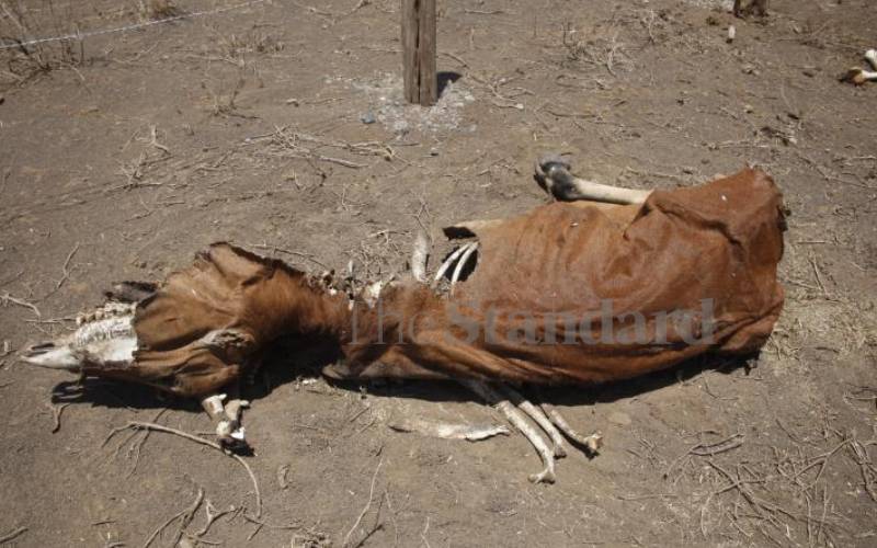 Thousands ravaged by hunger in Kajiado County 