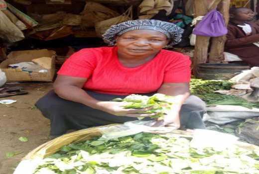 Auma's confession: Traditional vegetable pays my bills