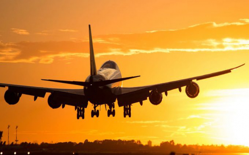 Airlines lobby roots for open skies