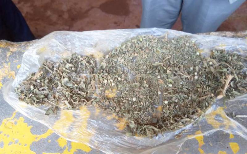 Bhang-smoking youth blamed for increased crime in Rongo