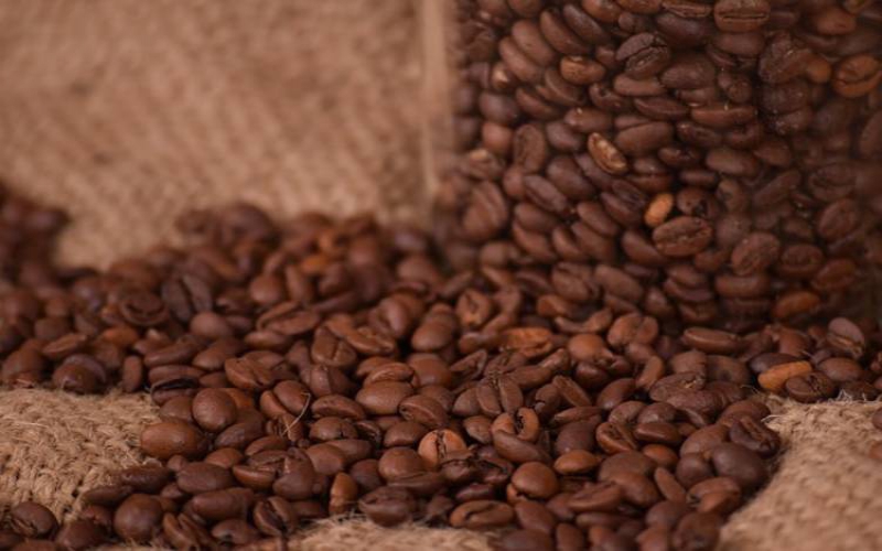 Coffee maker unveils Sh23 million program to support farmers