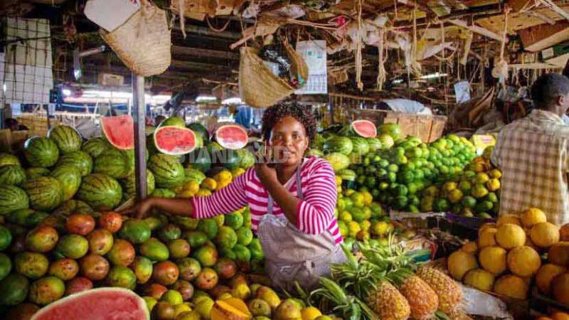 Economy grows amid VAT gloom