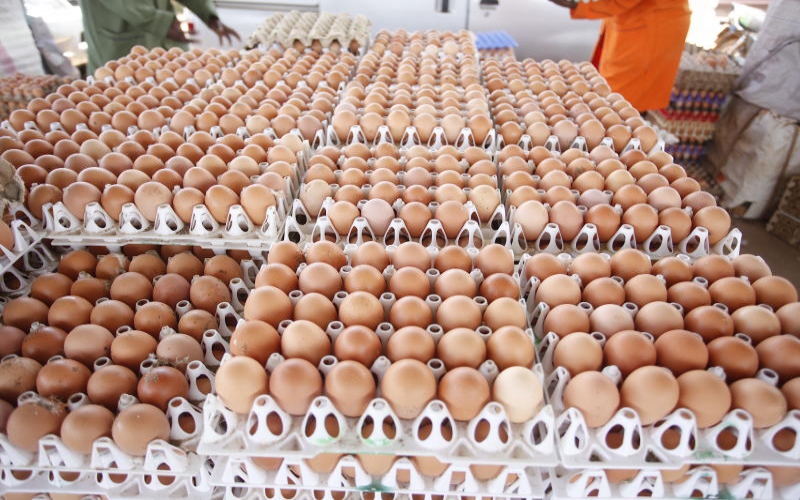 Why egg prices took another dip Farm Kenya