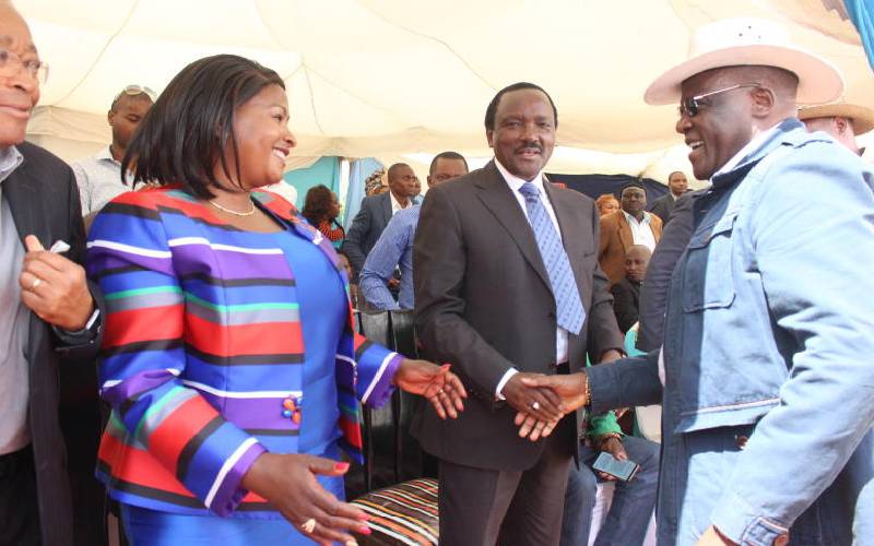 Elders urged to broker Kalonzo and Muthama truce