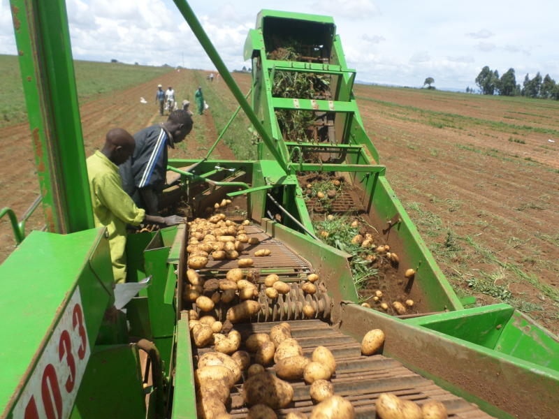 Farmers to get potato harvesters