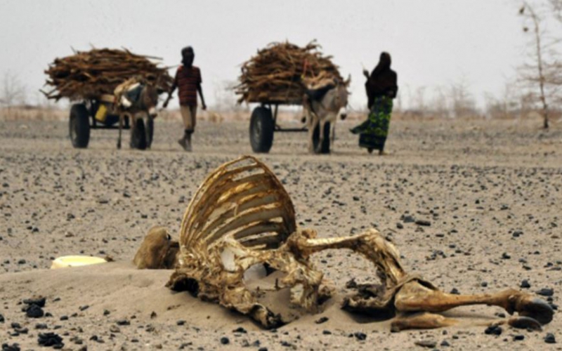 Locals decry drought, biting hunger