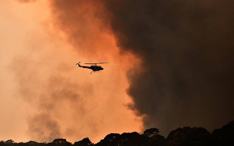 Bushfires: Australia's clean and green reputation goes up in smoke