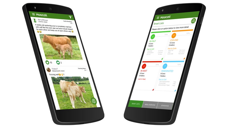 Mobile apps help pastoralists find water and pasture