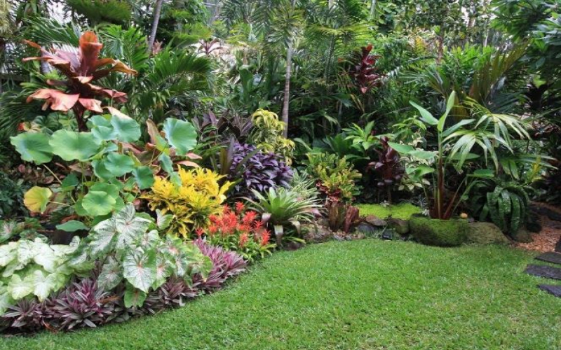 Plants, wildlife for a tropical garden