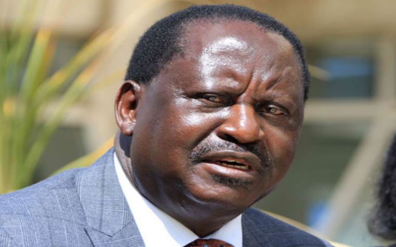 Raila in talks on fertliser factory