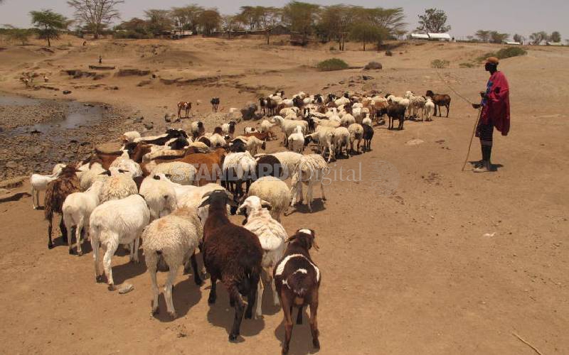 Save us from hunger and thirst, residents urge Samburu leaders
