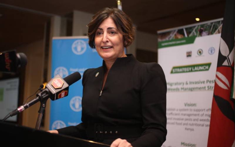 Time is of essence in fight against hunger, FAO boss
