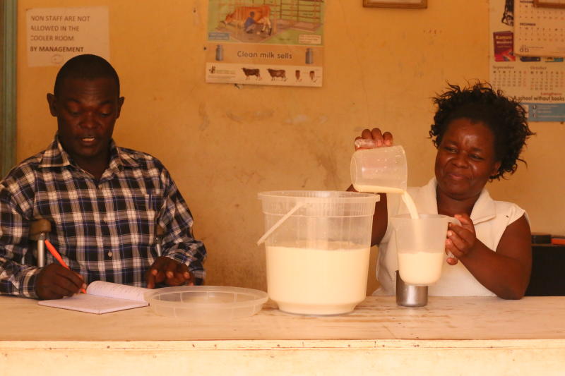 Mr. Wesechere and the dairy Manager Mrs. Josephine Nyongesa on duty. [Chrispen Sechere].