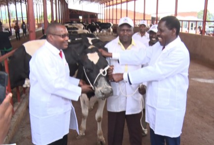 Uhuru delivers 50 cows to Burundi President Ndayishimiye