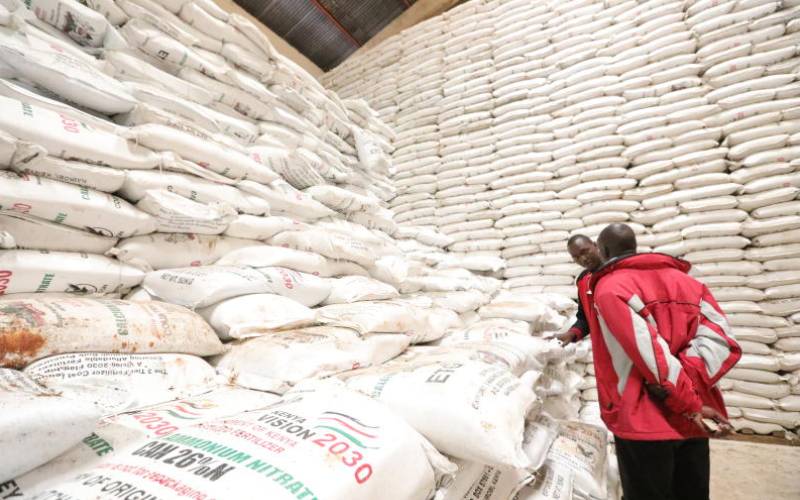 A farmer looks at CAN fertilizer at the National Cereals and Produce Board (NCPB) Eldoret depot. PHOTO BY: KEVIN TUNOI 