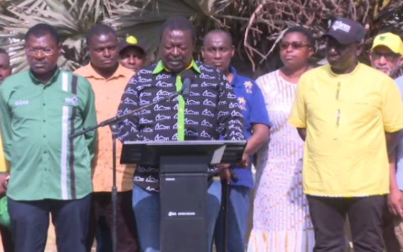 We’re moving to Parliament to have BBI funds audited, Ruto and team say