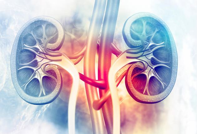 Why kidney patients are now going to hospital late