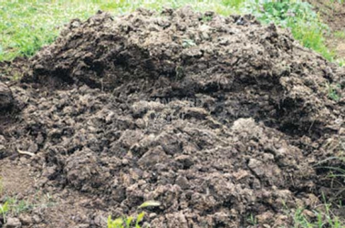 Why spend a fortune on fertiliser while you can make compost in the backyard?