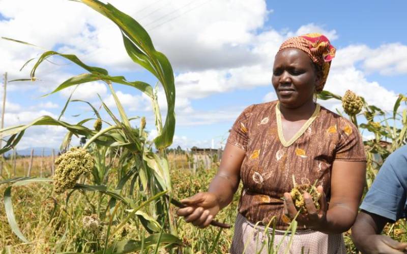 Why women still lag behind in agricuture