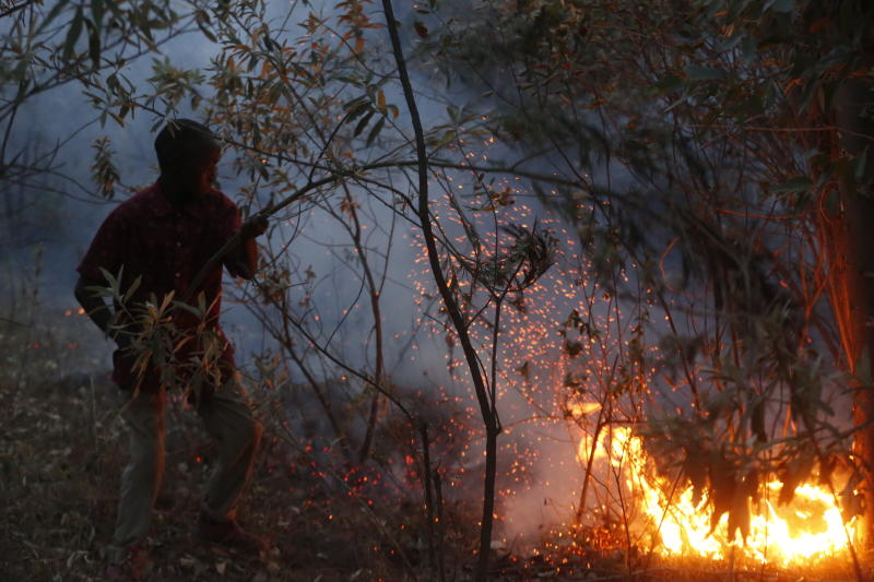 Aftermath of the fire at Menengai Forest on March 13, 2022