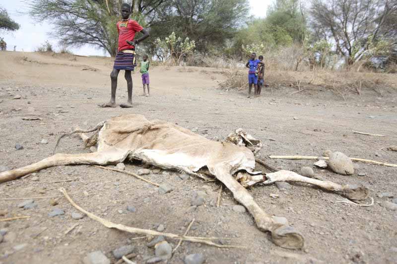 Climate change ‘the culprit’ in Rift attacks over water, pasture - The Standard