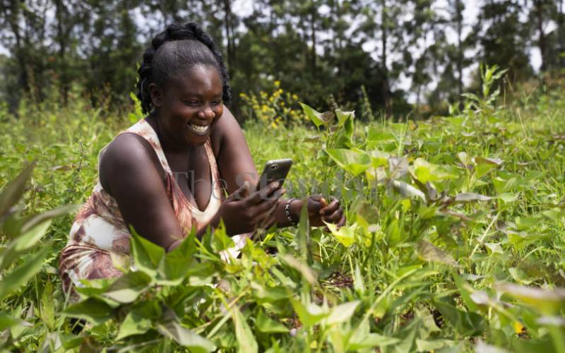 Farmers Meet Buyers At The Press Of A Button Farmkenya Initiative