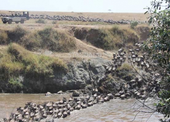 Election tension brings down tourism figures
