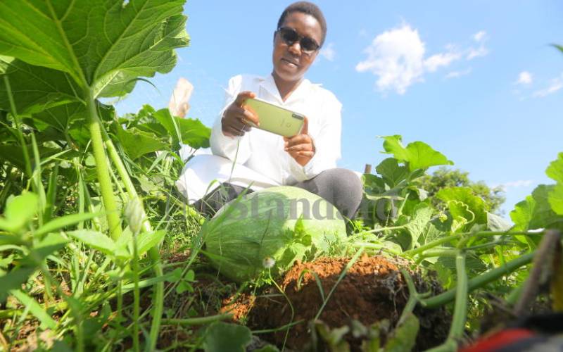 Farmers click with digital tools to up yields