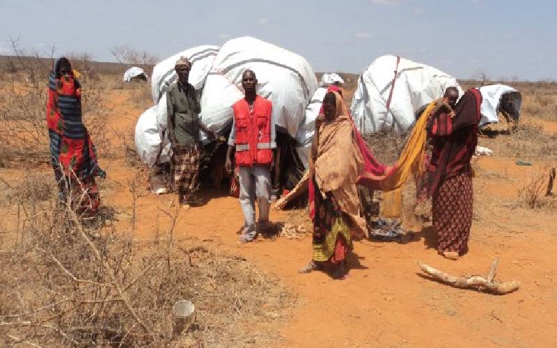 Find lasting solution to cycle of violence in the North