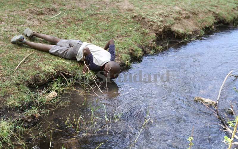 Kenyans have no access to clean water and sanitation