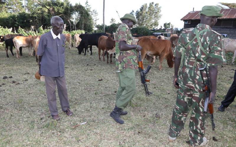 Leaders must unite to put an end to cattle rustlers attacks 
