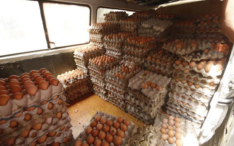 Lobby wants importation of poultry products suspended