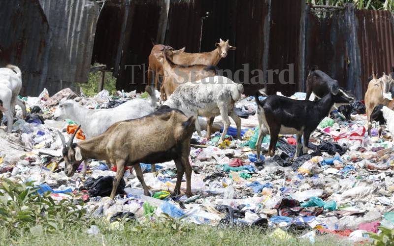 NEMA should reinforce ban on use of plastic bags