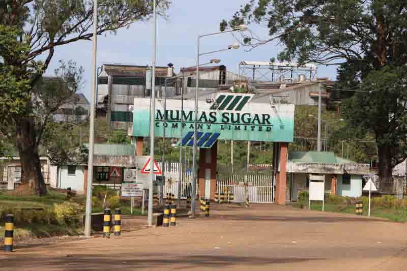 New twist in Mumias lease battle as firm sues for breach of orders