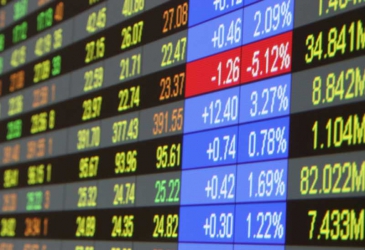 NSE tumbles on petition ruling as shilling remains firm 