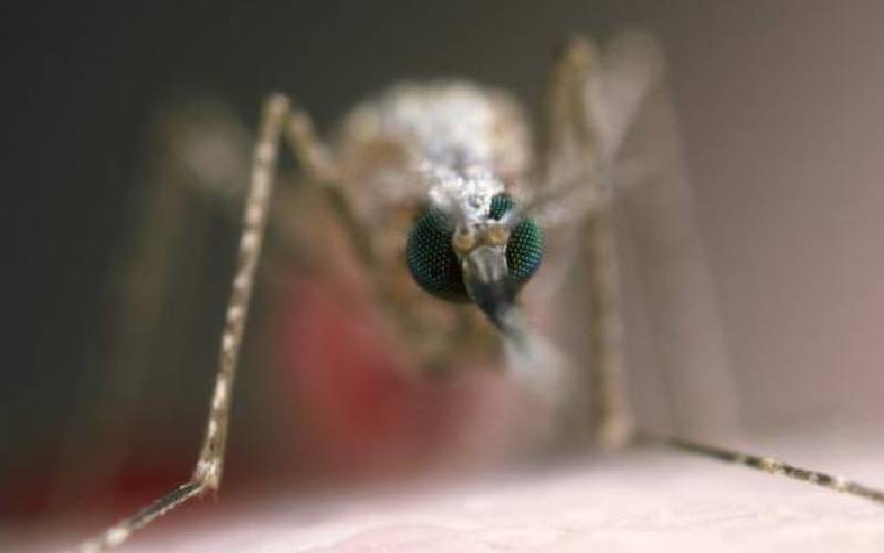 Over 1,500 test positive for malaria in Elgeyo Marakwet 