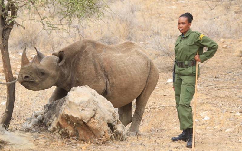 ‘Rhino whisperer’ who nurses abandoned animals to health
