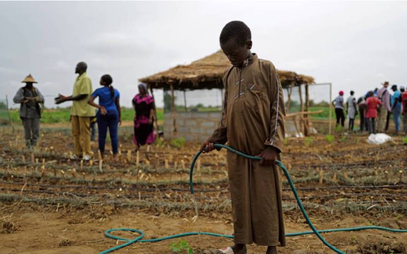 Senegalese plant circular gardens in Green Wall defence against desert