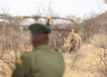 The only place in Kenya to track a rhino on foot
