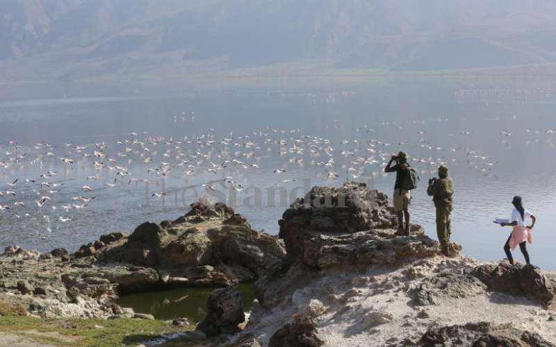 Thrill of waterbird census