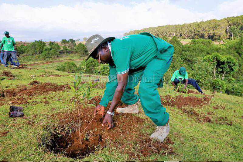 County gets Sh140m to conserve forest