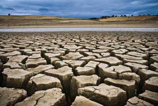 Kilifi County will dry up by 2030, expert warns