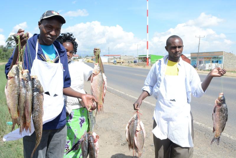 Government bans fish hawking in Naivasha