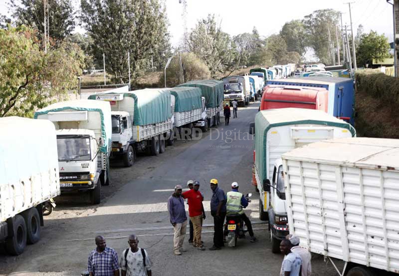 Anguish of farmers stuck with 300,000 bags of maize