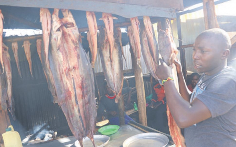 Fish dealer has no regrets quitting Sh25,000-a-month driver’s job
