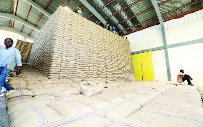 Kebs okayed toxic maize used in flour