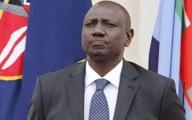DP Ruto: Assassination a discussion between me and President
